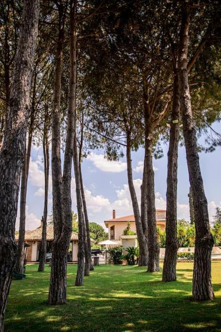 Villa Laoconte Piscina, Jacuzzi E Biliardo Canicattì Buitenkant foto